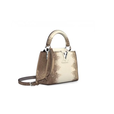 LOUIS VUITTON CAPUCINES MINI 855156 (21*13.6*8cm)